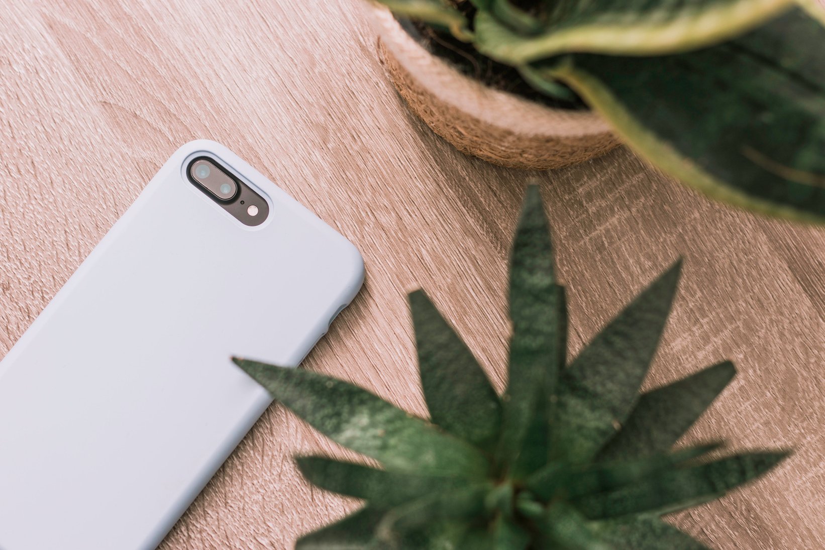 Mobile Phone Beside A Plant